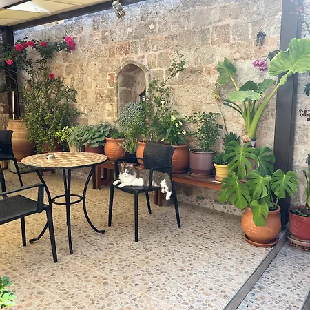 叶莱尼旅馆 3* Rhodes City