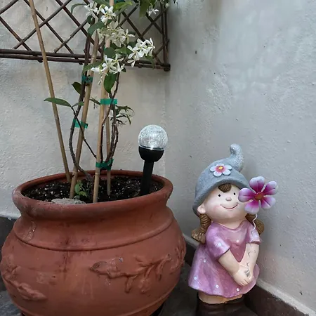 Eleni Πανσιόν 3*